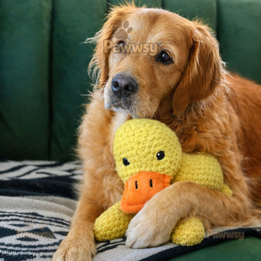 Plush Duck Dog Toy