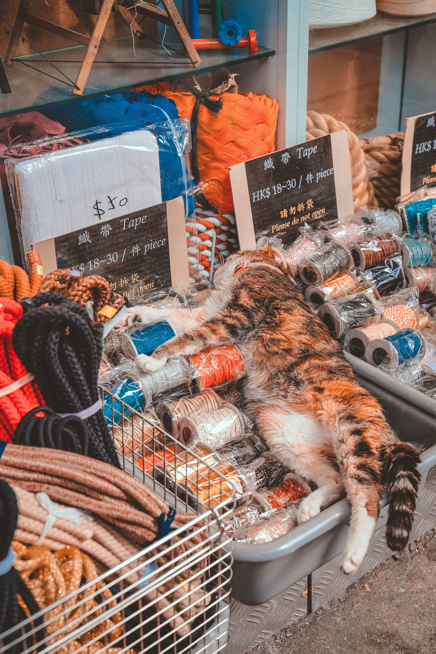 Toys & Gadgets