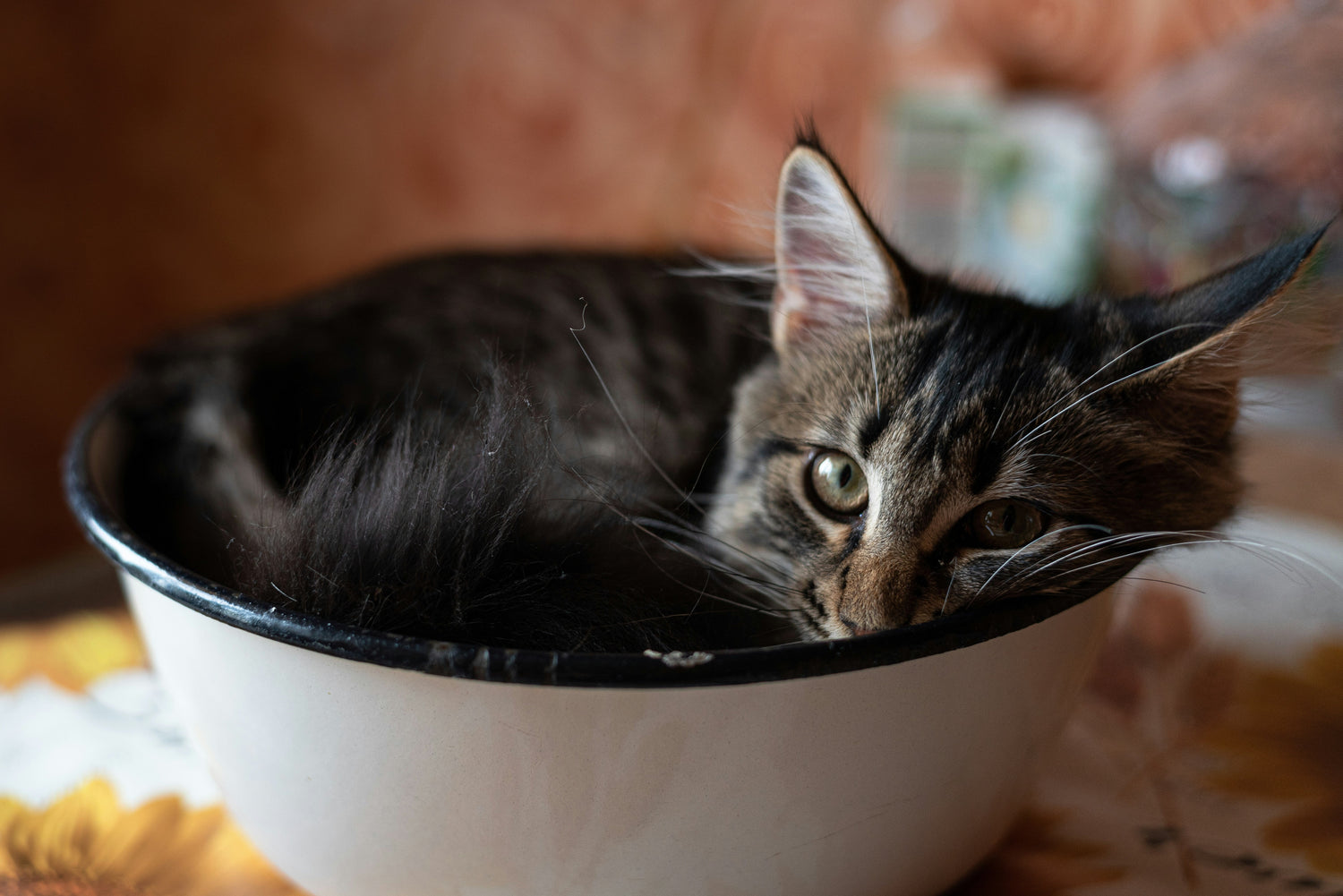 Bowls