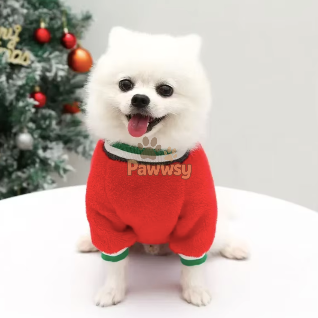 Red Christmas dog sweater with festive design.