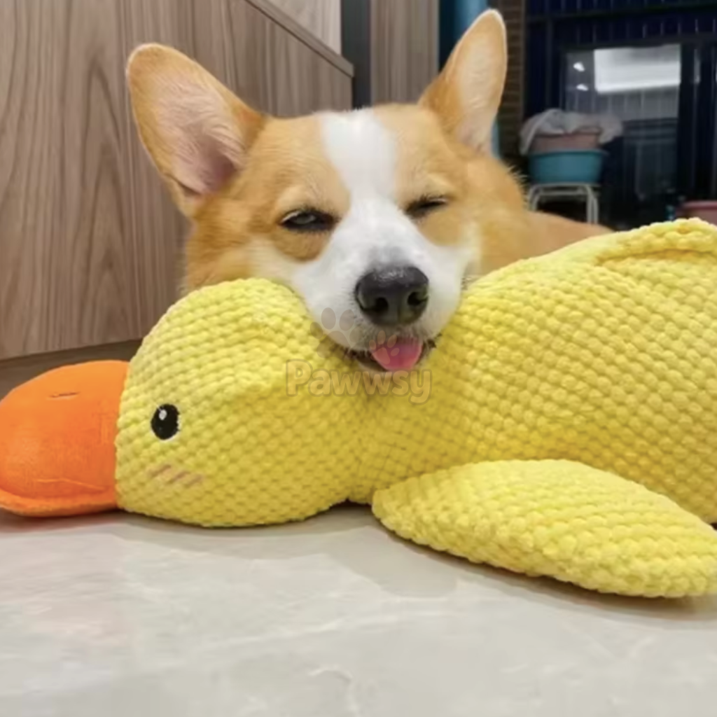 Cute duck-shaped dog toy for playful and gentle chewing