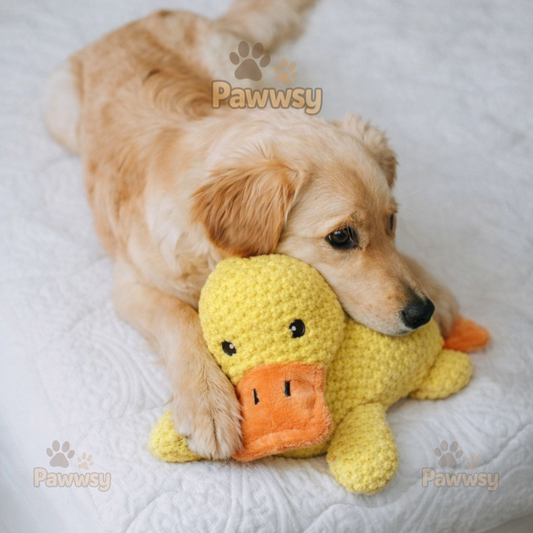 Plush Duck Dog Toy