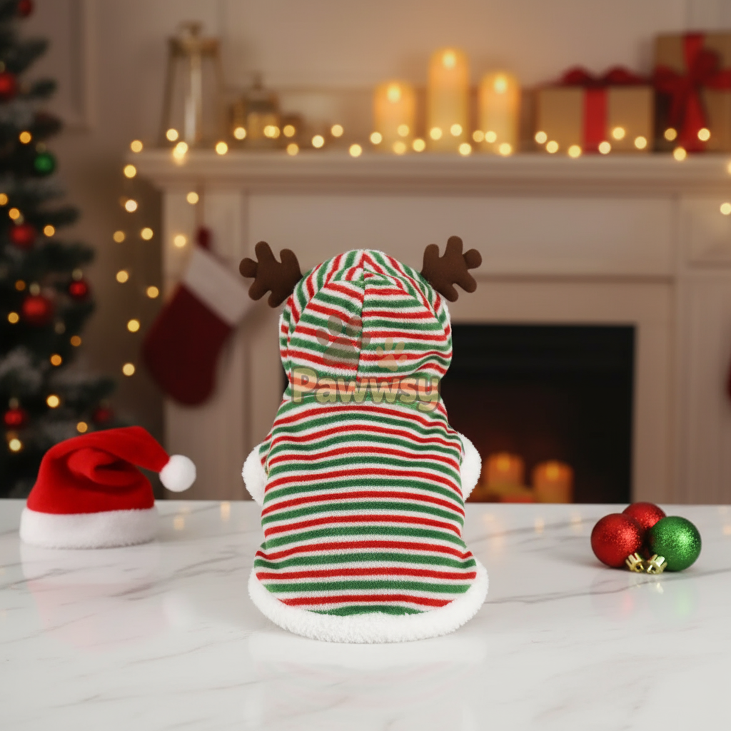 Small dog in cozy holiday outfit sitting by Christmas decor.