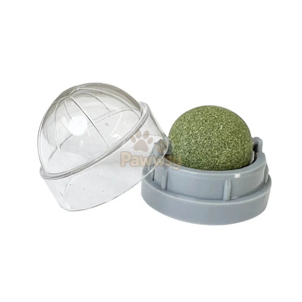 Catnip Wall Licking Ball | Natural Silvervine Snack Toy