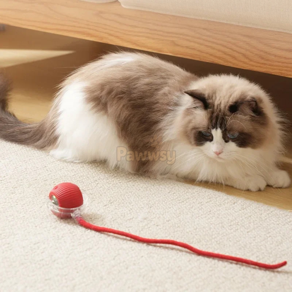 Interactive Smart Cat Ball | Automatic Rolling Toy With Tail