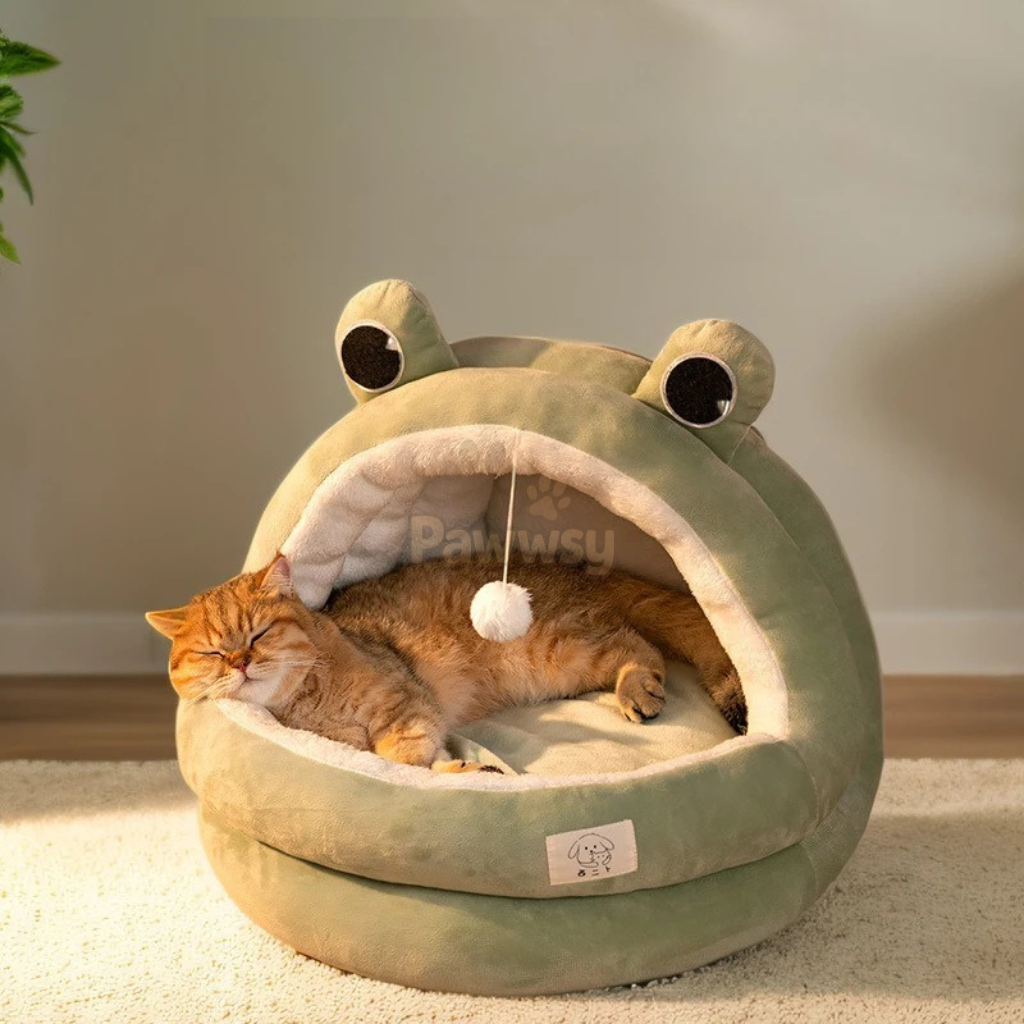Kitten resting in plush cat bed