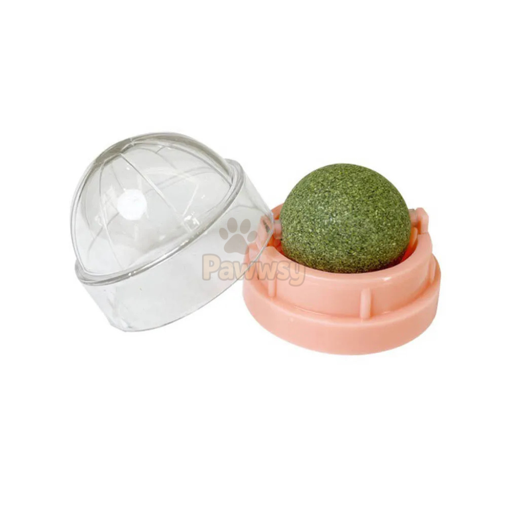 Catnip Wall Licking Ball | Natural Silvervine Snack Toy