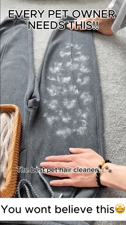 Pet Hair Remover Glove