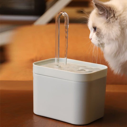 Cat water fountain automatic